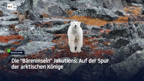 Die "Bäreninseln" Jakutiens: Auf der Spur der arktischen Könige