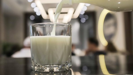 Verband: Preise für Milchprodukte werden deutlich steigen