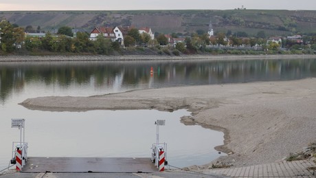 Niedrigwasser am Rhein: Belastungen für Schifffahrt und Wirtschaft bleiben