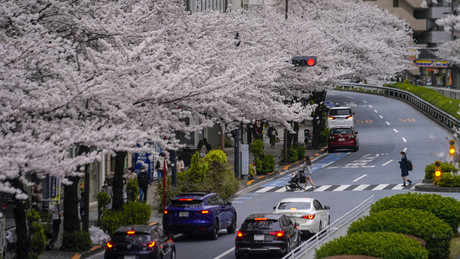 Japan erhöht Gebühr für Daueraufenthaltserlaubnis auf das Zwanzigfache
