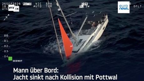 Mann über Bord: Jacht sinkt nach Kollision mit Pottwal
