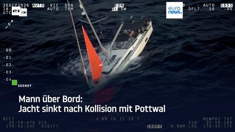 Mann über Bord: Jacht sinkt nach Kollision mit Pottwal