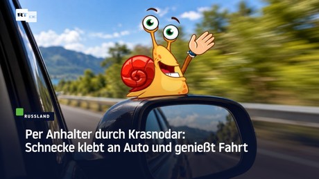 Per Anhalter durch Krasnodar: Schnecke klebt an Auto und genießt Fahrt
