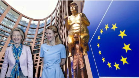 Nackter Trump im EU-Parlament: So tief ist die Brüsseler Elite gesunken
