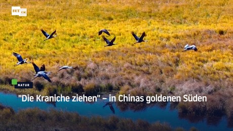 "Die Kraniche ziehen" – in Chinas goldenen Süden