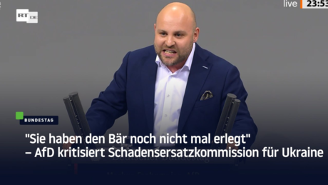 "Sie haben den Bär noch nicht mal erlegt" – AfD kritisiert Schadensersatzkommission für Ukraine