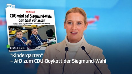 "Kindergarten" – AfD zum CDU-Boykott der Siegmund-Wahl