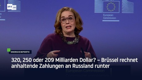 320, 250 oder 209 Milliarden Dollar? – Brüssel rechnet anhaltende Zahlungen an Russland runter