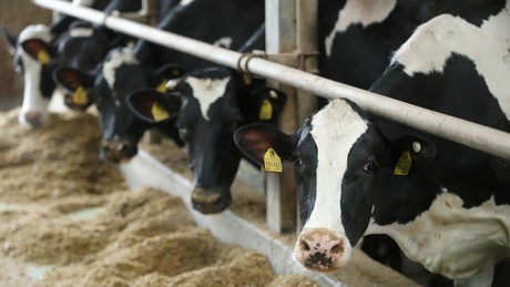 Daten aus Bayern beweisen: Landwirte überdurchschnittlich suizidgefährdet