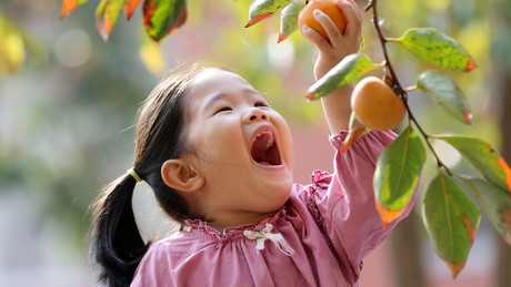 China: Kindergarten vergiftete Kinder mit Blei - Verantwortliche erhalten lange Haftstrafen