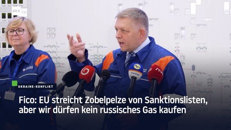 Fico: EU streicht Zobelpelze von Sanktionslisten, aber wir dürfen kein russisches Gas kaufen
