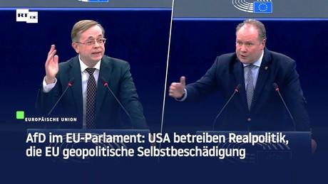AfD im EU-Parlament: USA betreiben Realpolitik, die EU geopolitische Selbstbeschädigung
