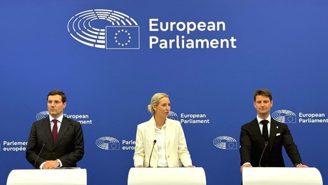 Mehr Souveränität für die Mitgliedstaaten: Weidel stellt AfD-Plan für die EU vor