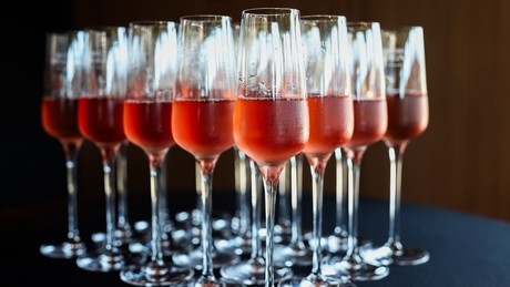 Beste Zahlen seit 20 Jahren: Russische Weinindustrie setzt auf Wissenschaft