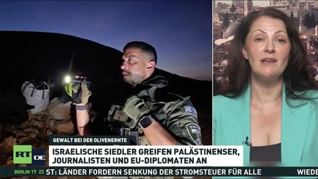 Olivenernte unter Beschuss: Gewalt israelischer Siedler eskaliert