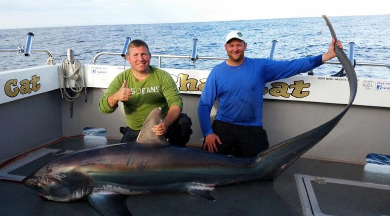 12ft shark caught after epic 5-hour battle with Welsh fishermen