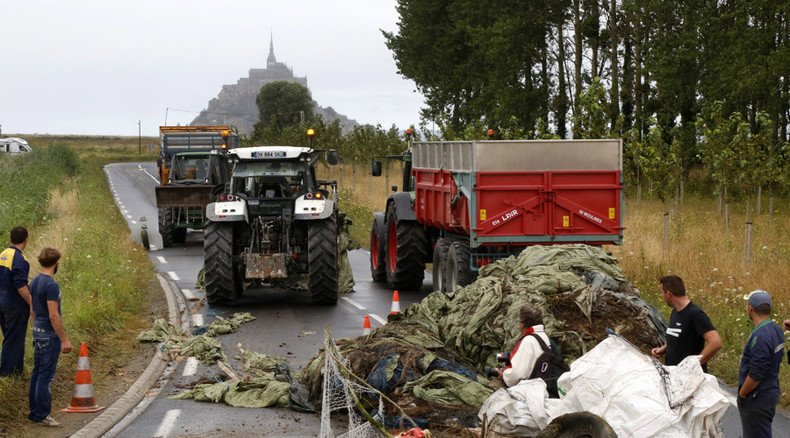 ‘You’re killing us’: French farmers dump manure, block roads to protest low meat & milk prices