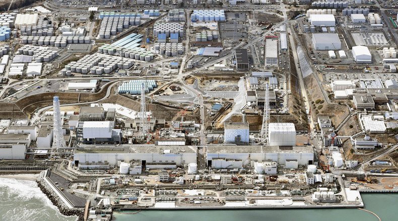 Fukushima nuclear disaster: ‘Radiation will wash down from mountains, forests into other lands’