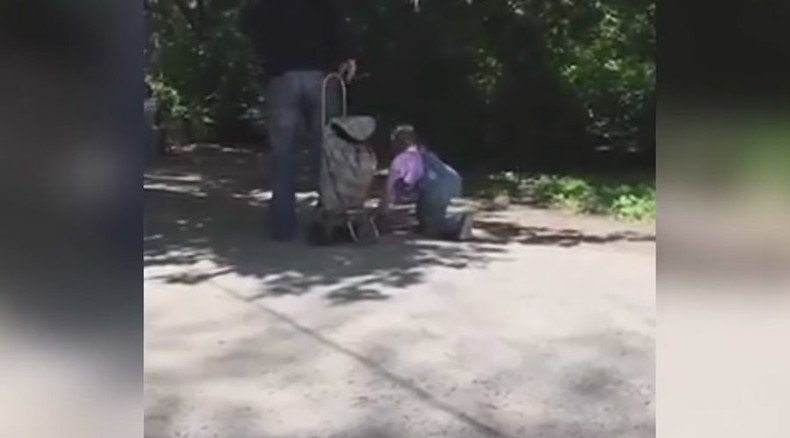 Girl’s walk on a leash in park prompts child abuse probe (VIDEO)