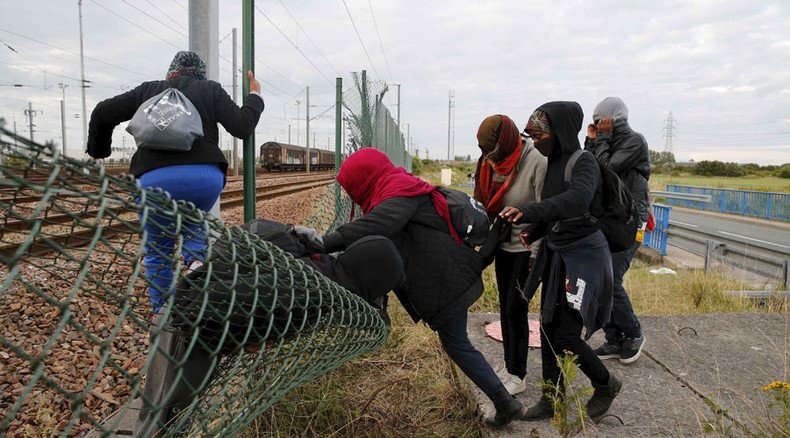 'We propose sending the army to address Calais migrant crisis' - UKIP MP