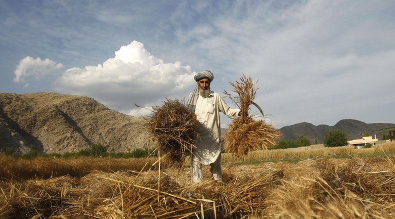 British military illegally held Afghan farmer for months without charge – Court of Appeal