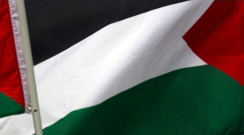 "One-sided" Pro-Palestine agenda pushed in schools – think tank