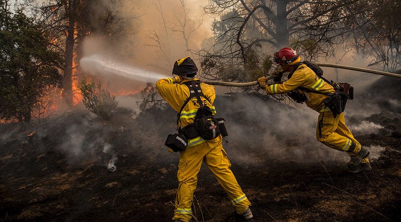 50% of Forest Service budget going up in flames fighting wildfires – report