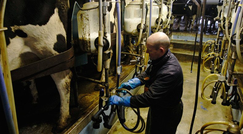 UK dairy farmers protest against low milk prices 