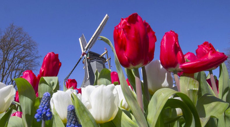 Russia toughens up on Dutch flowers