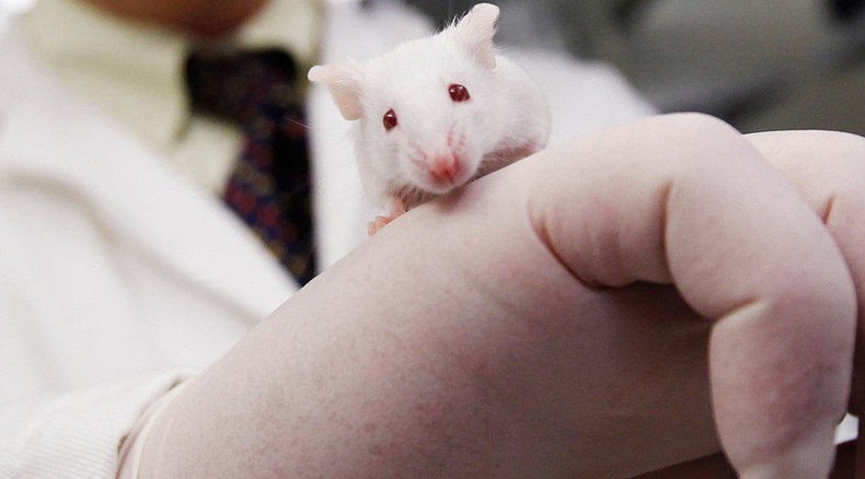 ‘Super-smart mice’ might help cure Alzheimer’s and schizophrenia – study