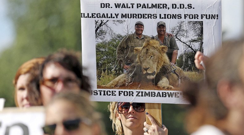 Cecil the lion's killer illegally hunted black bear, offered 20k as cover-up bribe