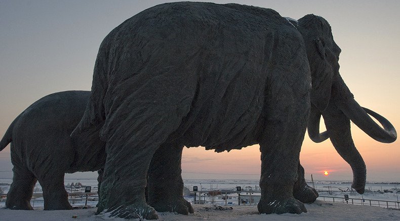 Humans or Climate Change: So who killed mammoths and other biggies?