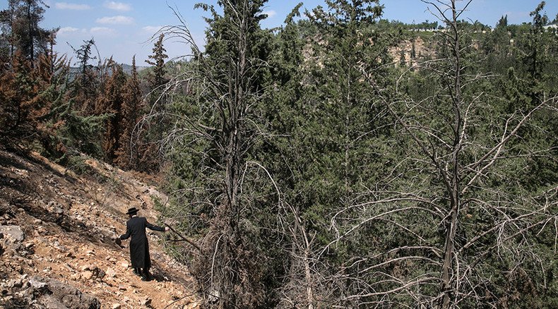 Environment groups urge IDF to curb academy construction plans in Jerusalem Forest
