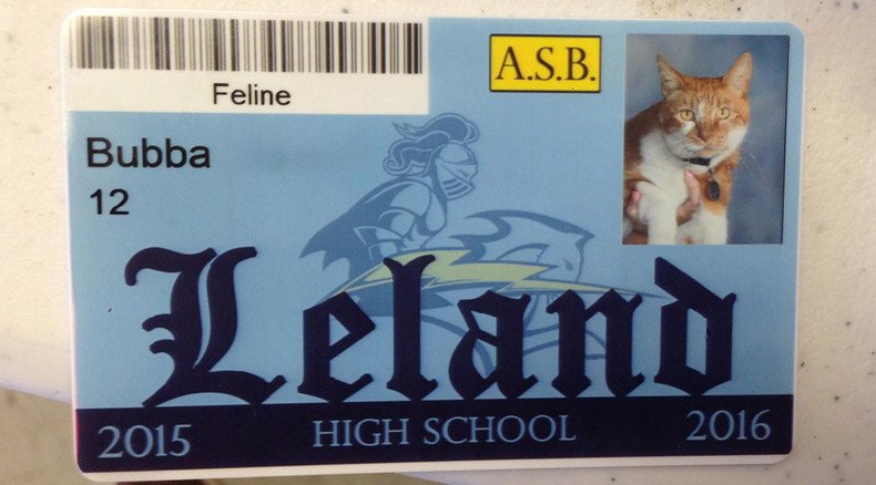 Getting an eduCATion: Feline receives student ID card in California High School
