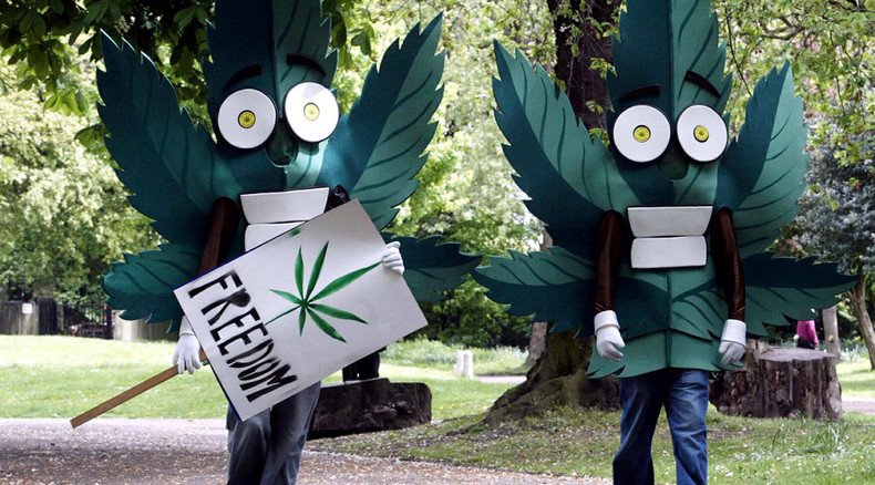 200,000-strong petition to legalize cannabis gets dismissive govt response