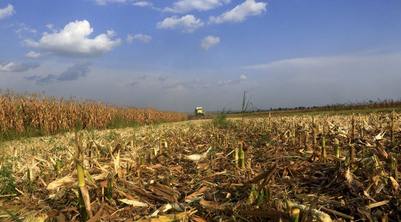 Global food shortages could strike as result of climate change – General Mills