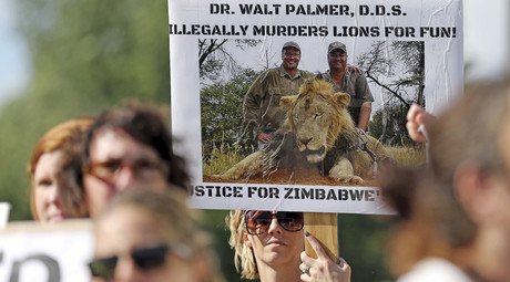 Out of hiding: Cecil the lion’s killer returns to work