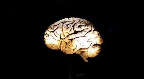 Russian scientists create artificial brain that can educate itself