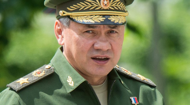 Shoigu praises Russian-Chinese military cooperation as guarantee of world stability