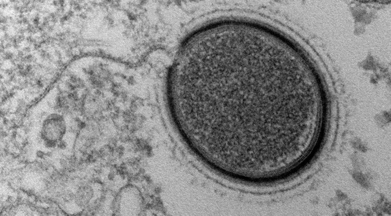 'Frankenvirus': Scientists set to revive giant 30,000yo virus discovered in Siberian permafrost