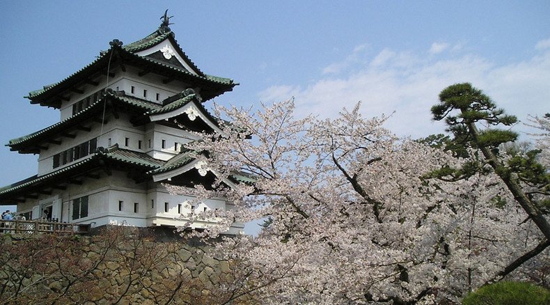 Castle in the air: Japan moves 400yo fort by picking it up 2 feet off ground
