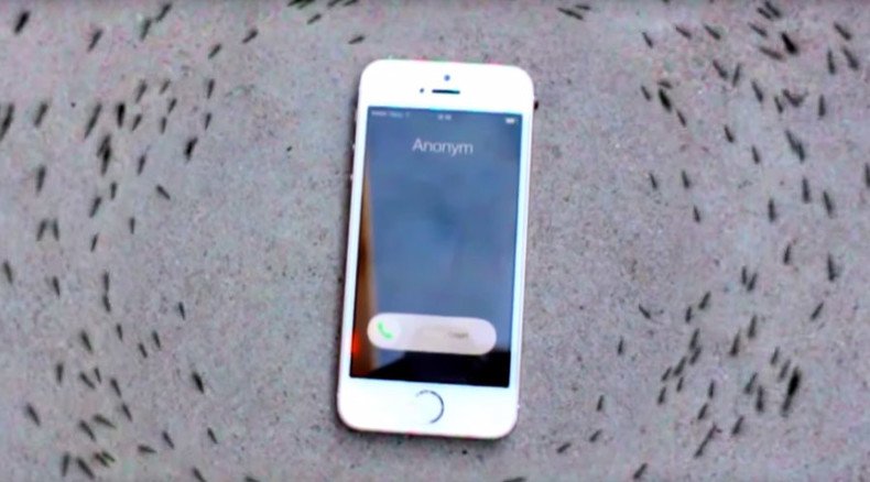 Mysterious ant 'tribal dance' around ringing iPhone (VIDEO)