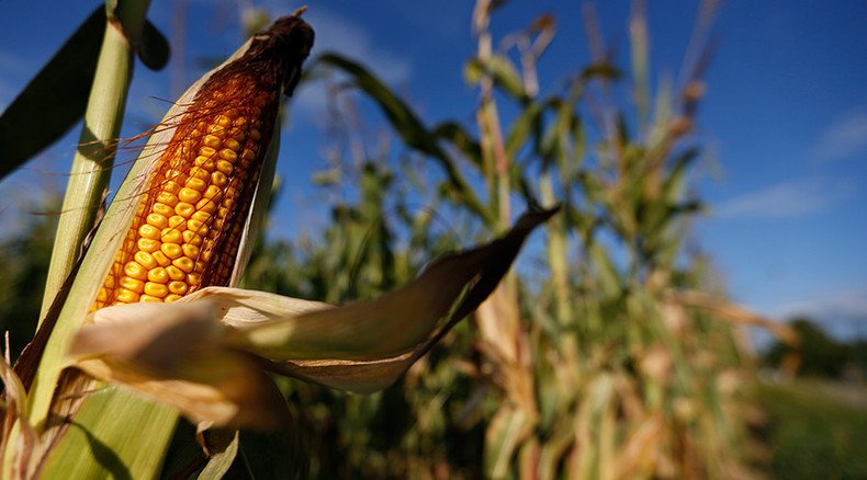 French court upholds guilty verdict in Monsanto poisoning case