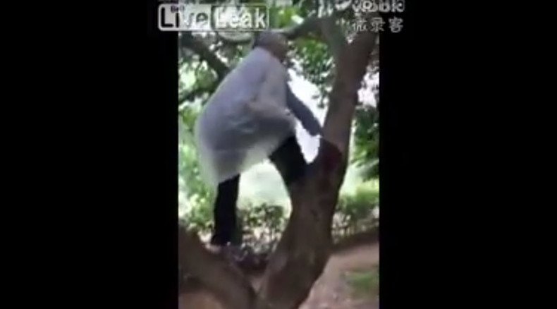 With a grace of a young girl: 97yo Chinese woman climbs tree to pick fruit (VIDEO)