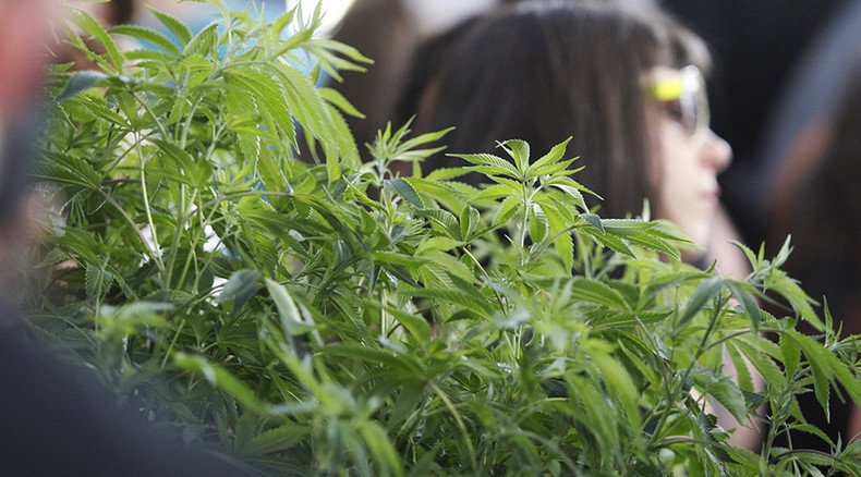 Marijuana-related deaths, suspensions & problems spike in Colorado – report