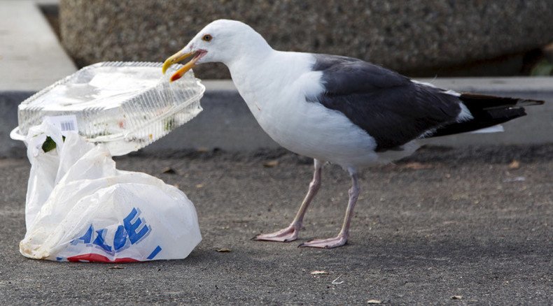 4 million of plastic bits litter San Francisco Bay daily – study
