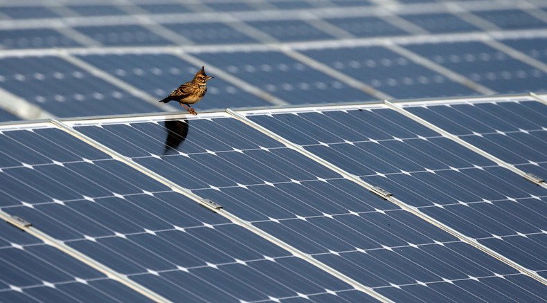 Chinese firm to build solar power plant in Russia 
