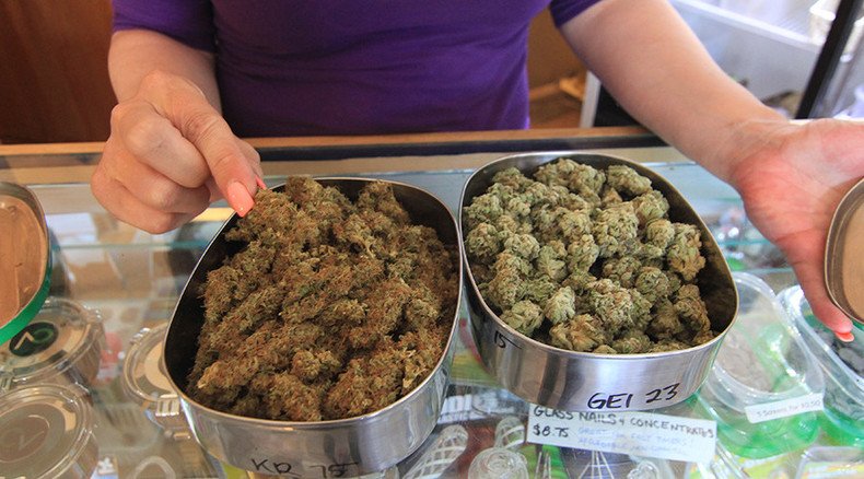 $60 per plant: DEA waging costly war to destroy marijuana in Oregon despite drug’s legaliity