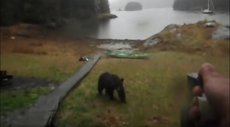 Alaska bear encounter: "Thanks for not eating my kayak... hey, stop, it's not even food!"