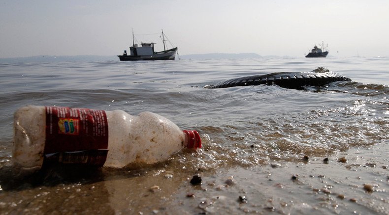 Plastic on menu: Study shows alarming quantities of human made-debris in fish